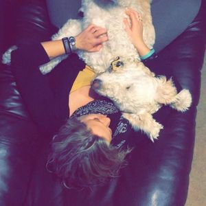 Meet your Posher, Sunny